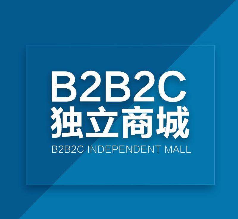 b2b2c商城系統(tǒng)有哪些設置功能