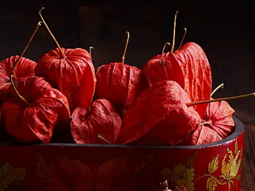 興盛優(yōu)選和十薈團(tuán)哪個(gè)好，為什么